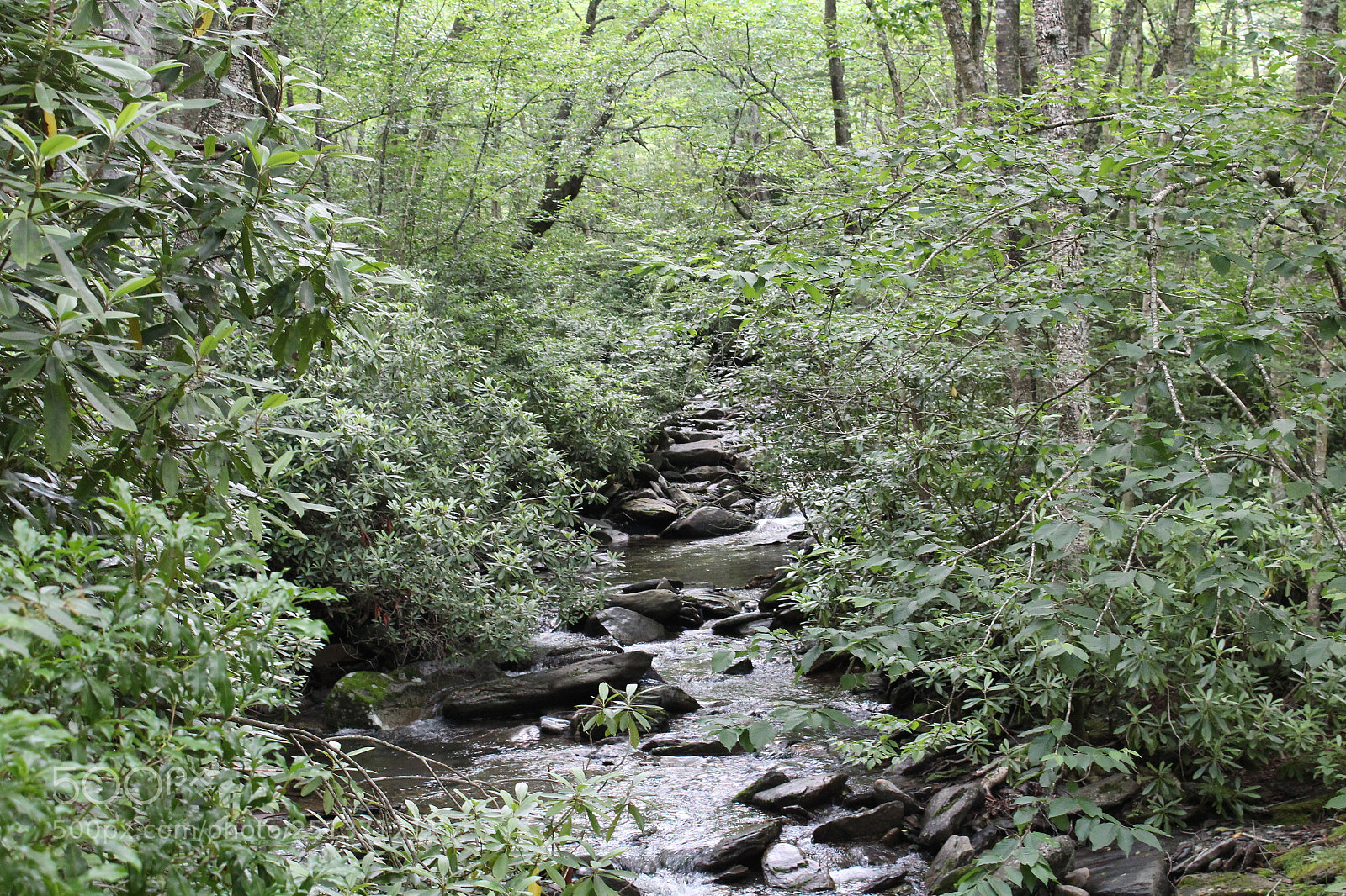 Canon EOS 1200D (EOS Rebel T5 / EOS Kiss X70 / EOS Hi) sample photo. Smokey mountains photography