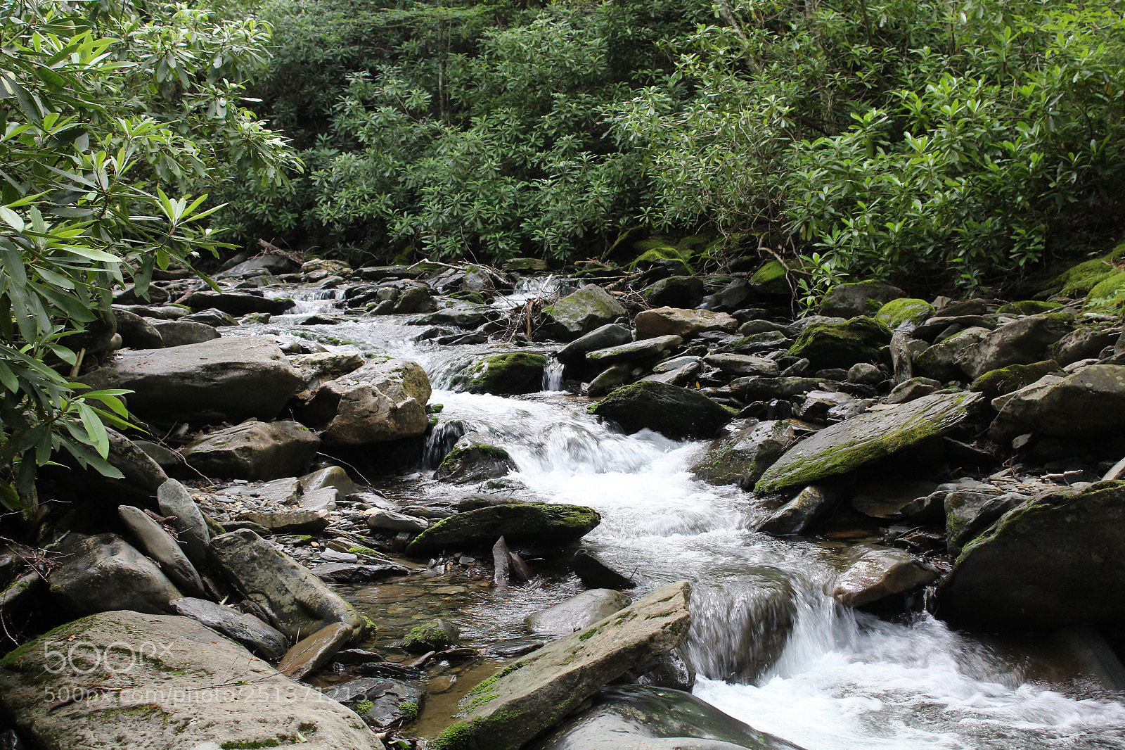 Canon EOS 1200D (EOS Rebel T5 / EOS Kiss X70 / EOS Hi) sample photo. Smokey mountains photography