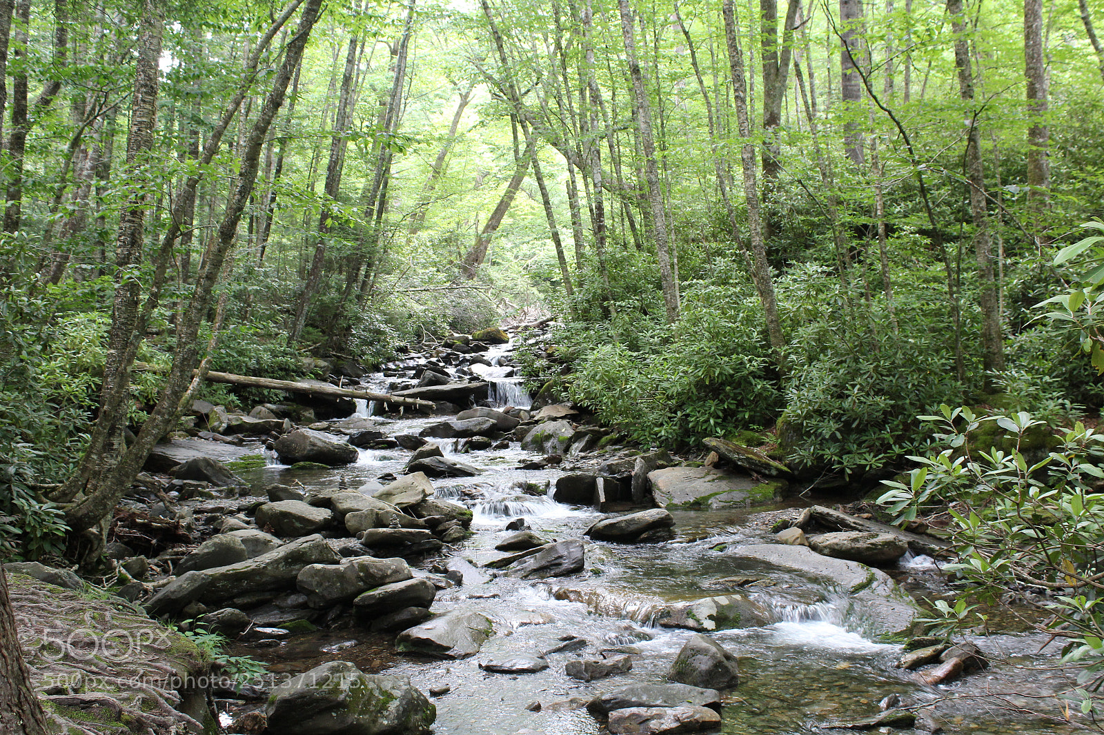 Canon EOS 1200D (EOS Rebel T5 / EOS Kiss X70 / EOS Hi) sample photo. Smokey mountains photography