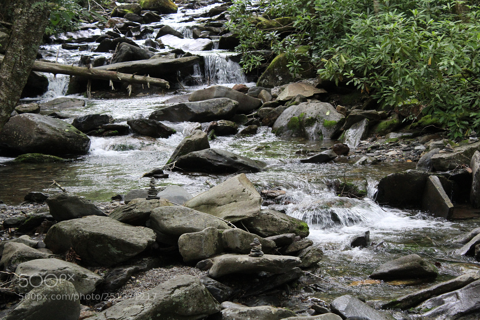 Canon EOS 1200D (EOS Rebel T5 / EOS Kiss X70 / EOS Hi) sample photo. Smokey mountains photography
