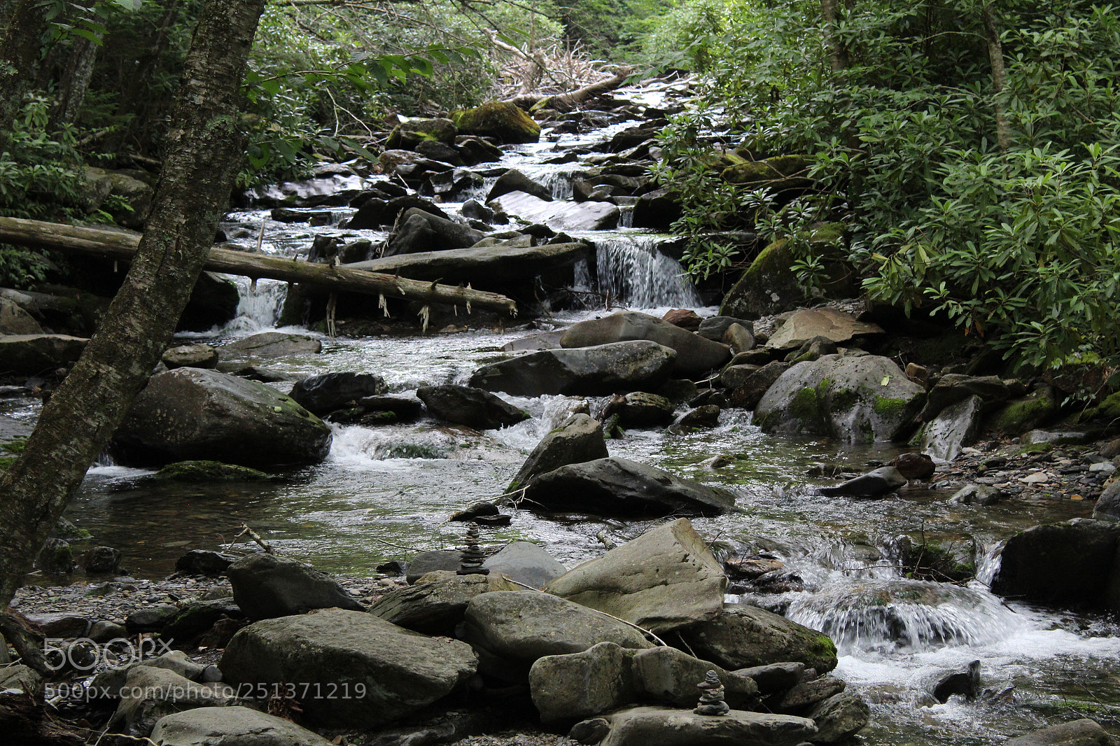 Canon EOS 1200D (EOS Rebel T5 / EOS Kiss X70 / EOS Hi) sample photo. Smokey mountains photography