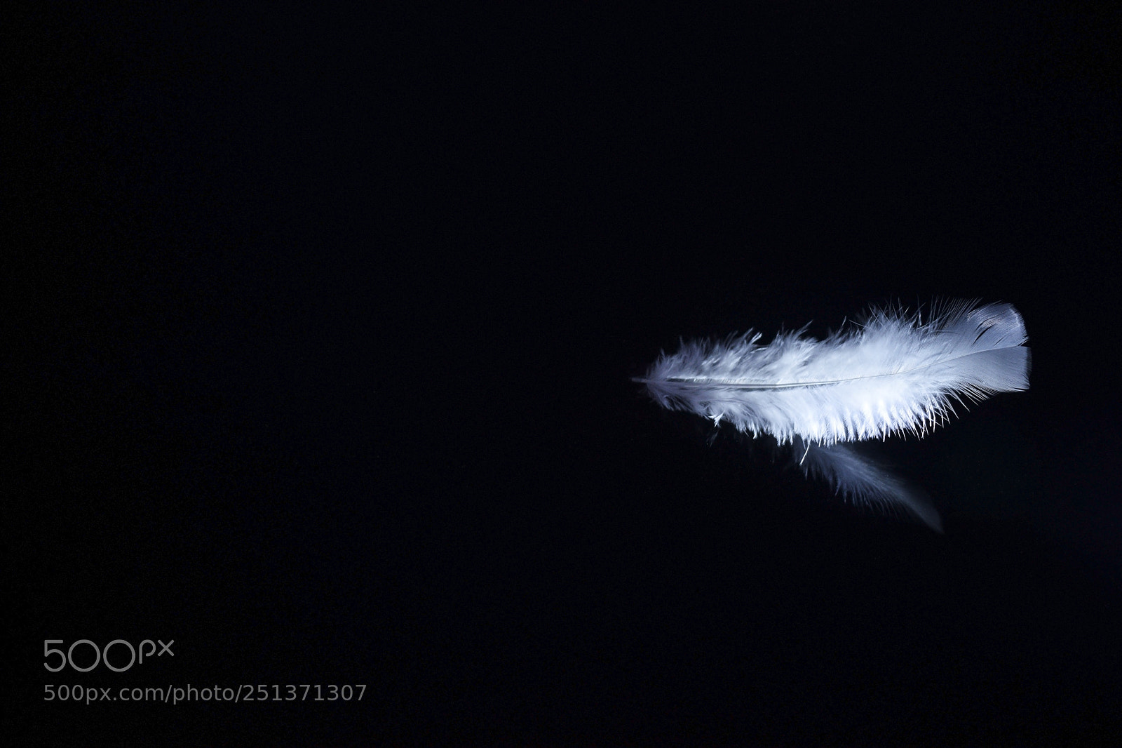 Nikon D5300 sample photo. Mi pluma photography