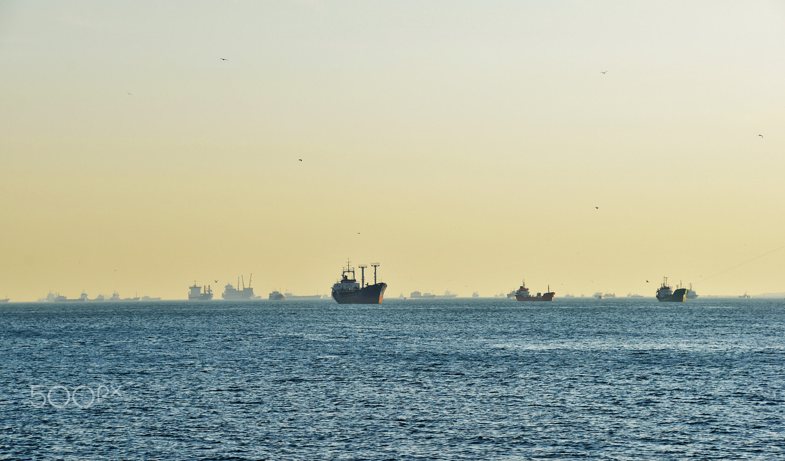 Nikon D5500 sample photo. Bosphorus traffic jam photography
