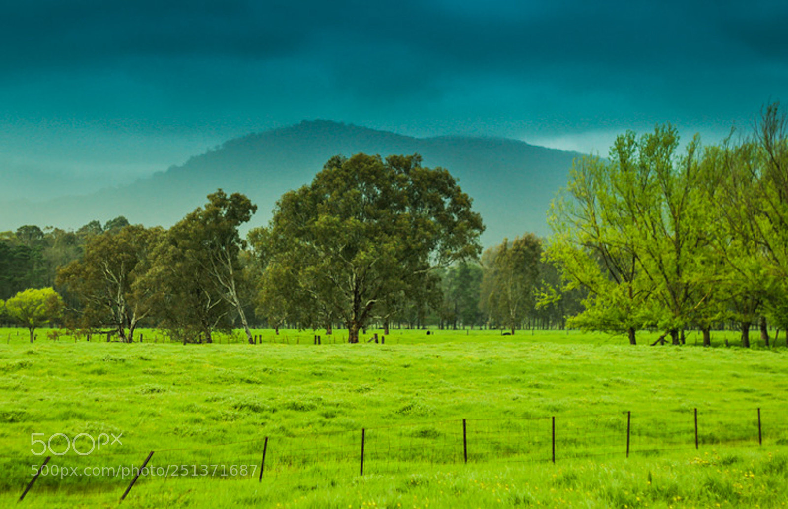 Canon EOS 600D (Rebel EOS T3i / EOS Kiss X5) sample photo. Rural country landscape scene photography