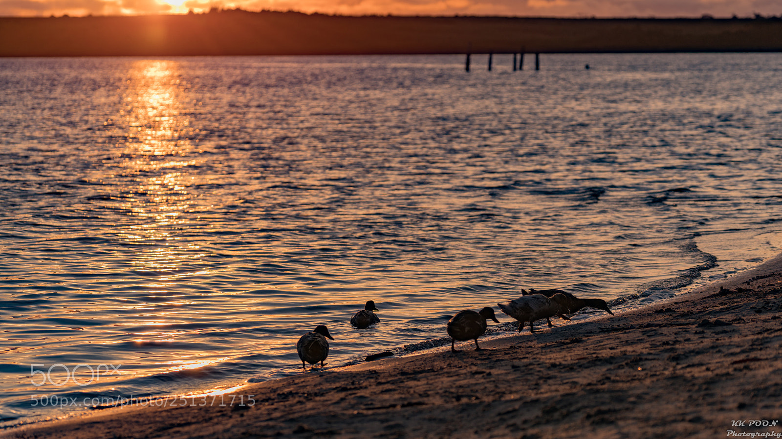 Sony a7R II sample photo. The gathering of a photography