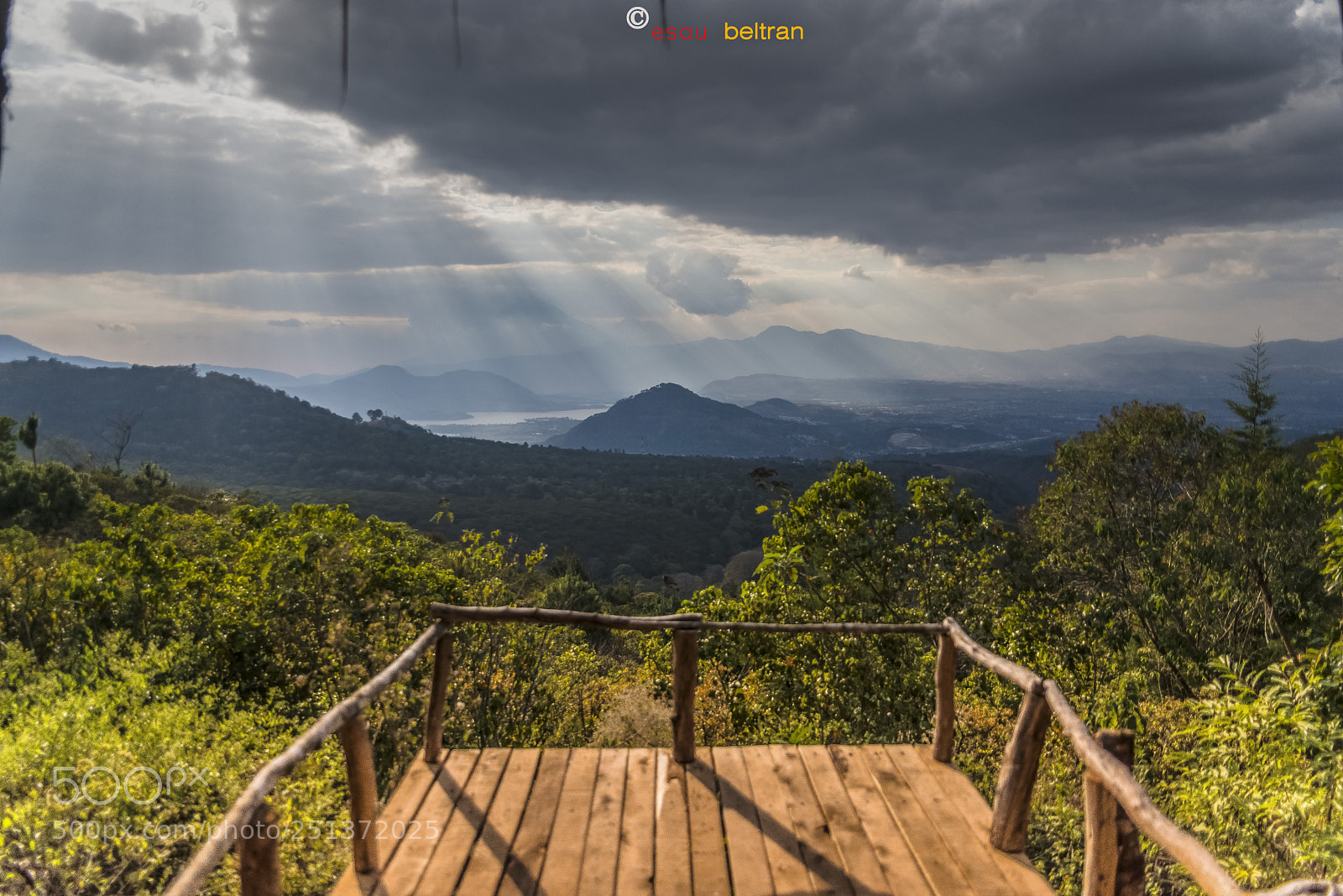 Nikon D800 sample photo. Mirador green rush cf photography