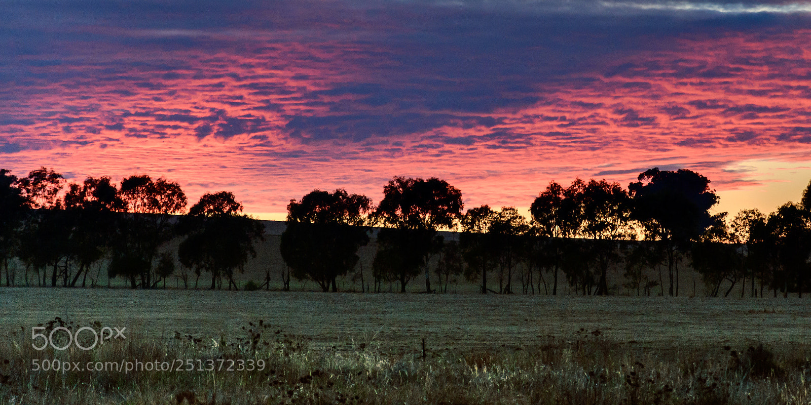Nikon D7500 sample photo. Canowindra dawn photography