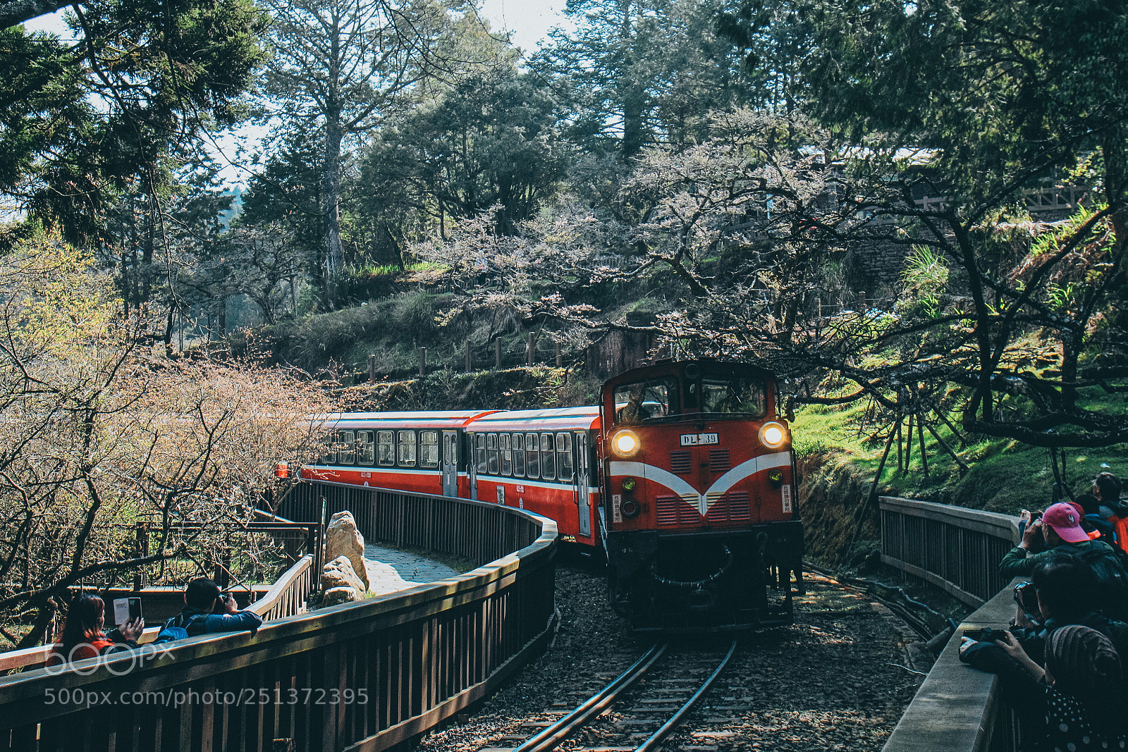 Canon EOS 500D (EOS Rebel T1i / EOS Kiss X3) sample photo. Alishan railway photography