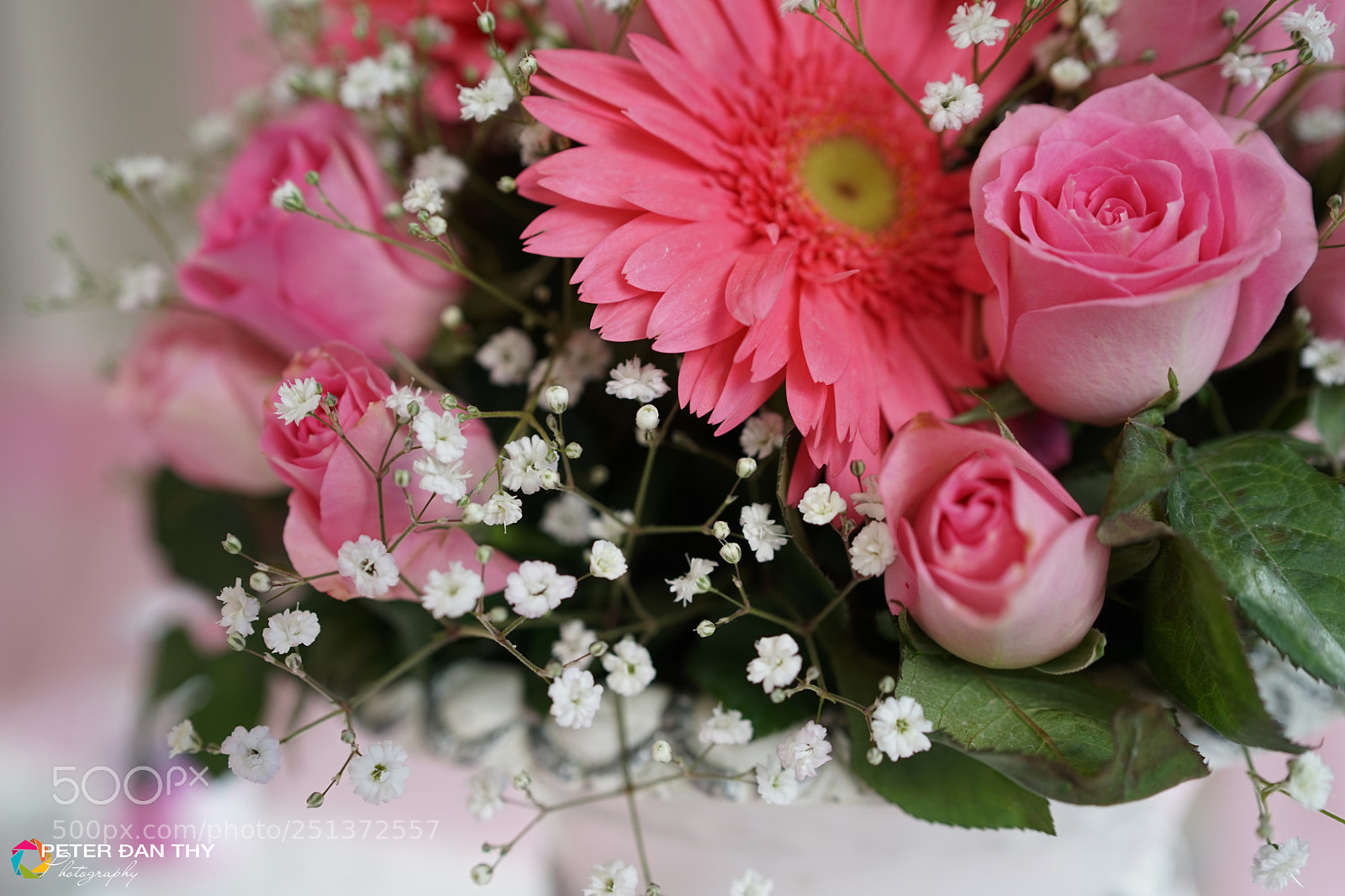 Sony a7 sample photo. Flowers photography
