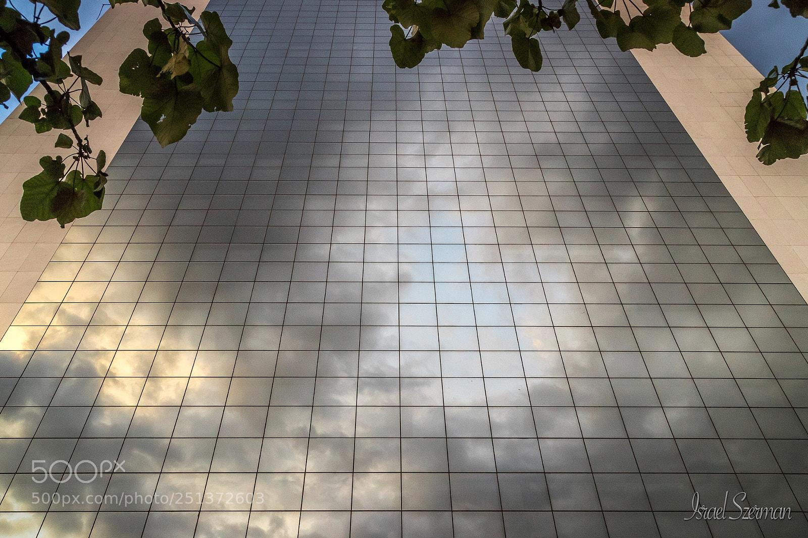 Canon EOS 6D Mark II sample photo. Untitled photography