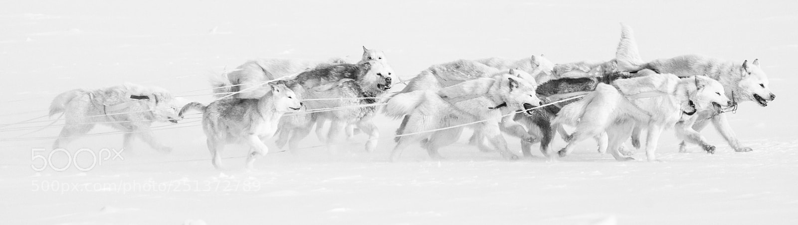 Canon EOS 5D Mark II sample photo. Ghost riders photography