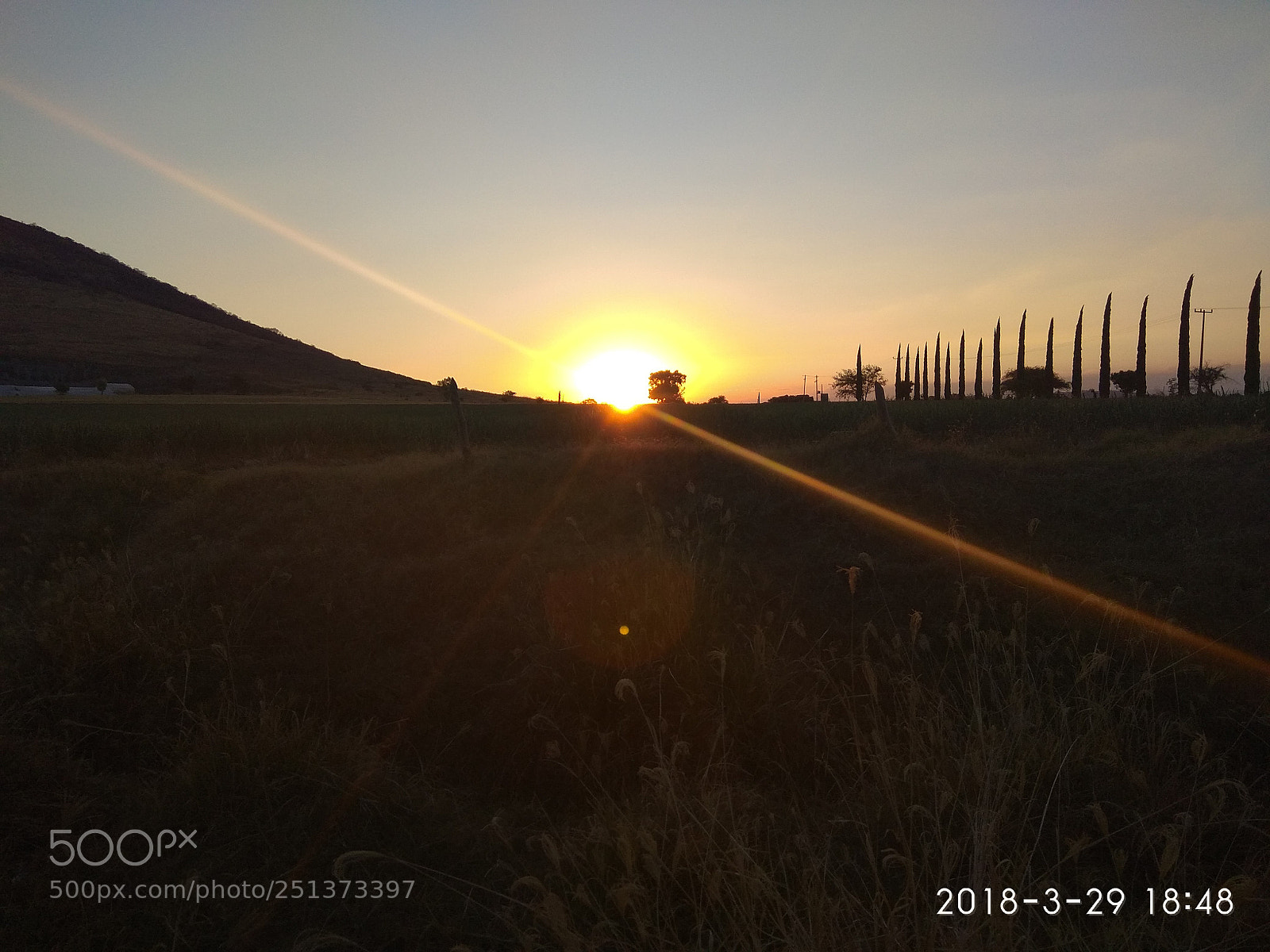 Xiaomi Redmi Note 4 sample photo. Untitled photography