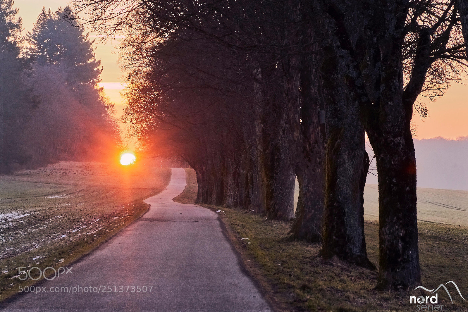 Sony SLT-A77 sample photo. Der sonnenpfad photography