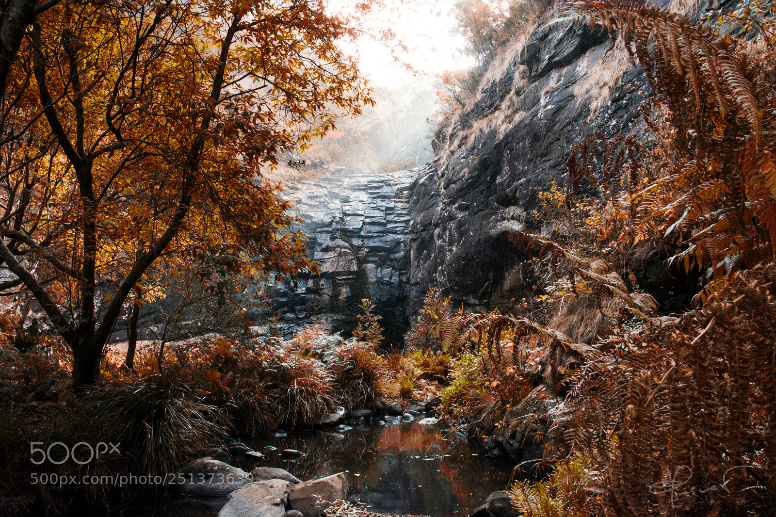 Nikon D5200 sample photo. Sheoak falls photography