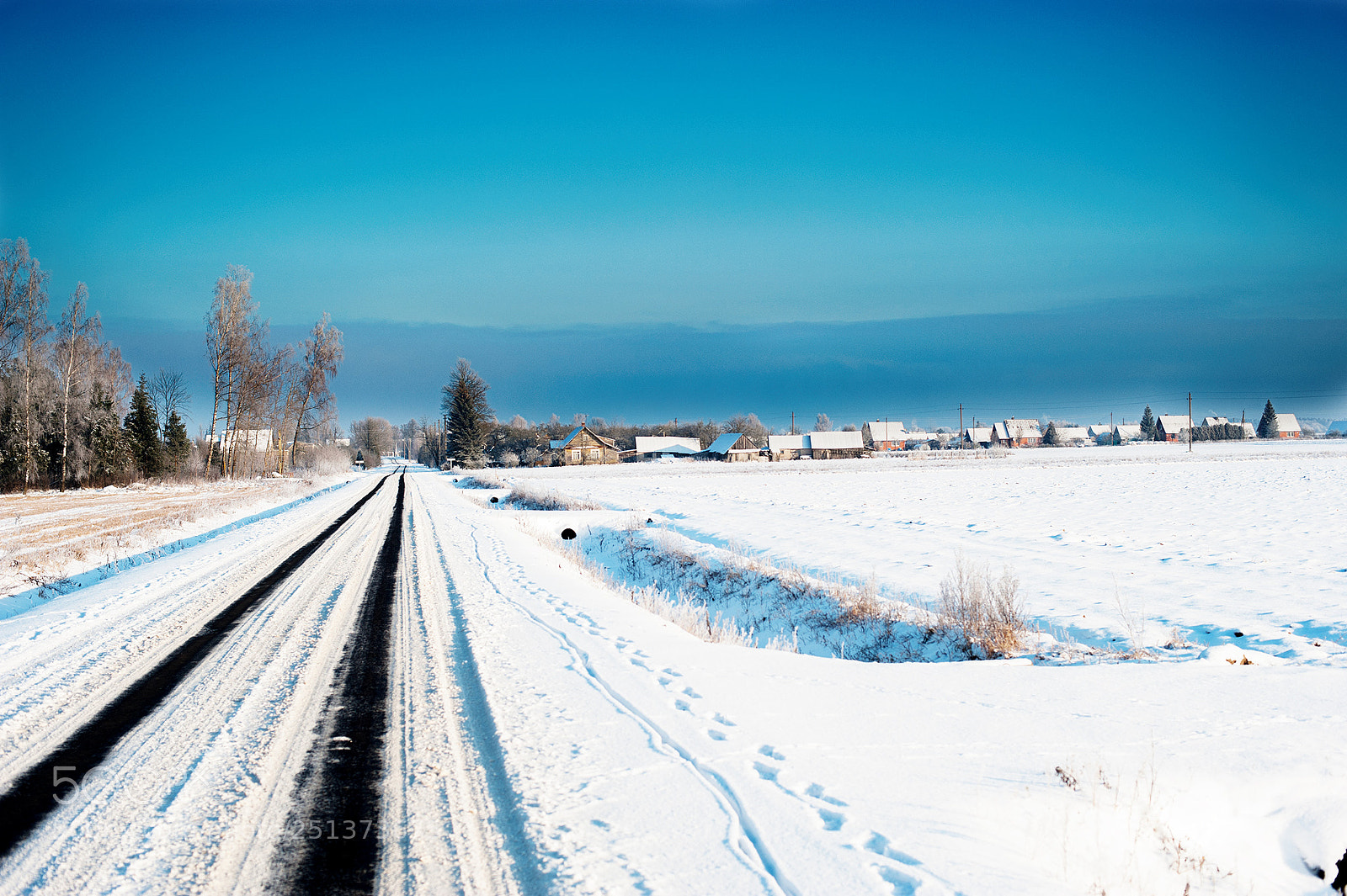 Nikon D3 sample photo. Road to the village photography