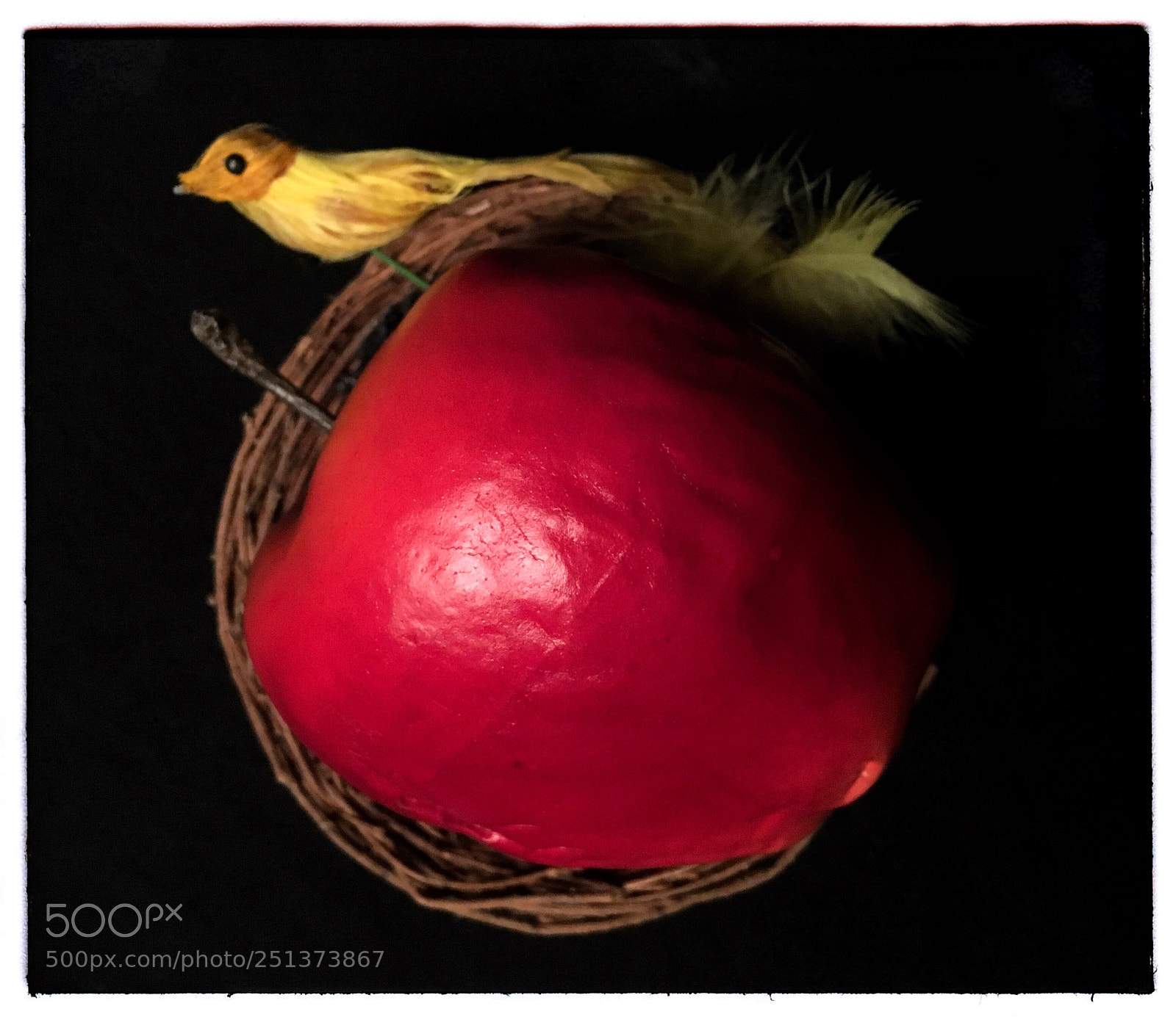 Apple iPhone SE sample photo. Bird and apple in photography
