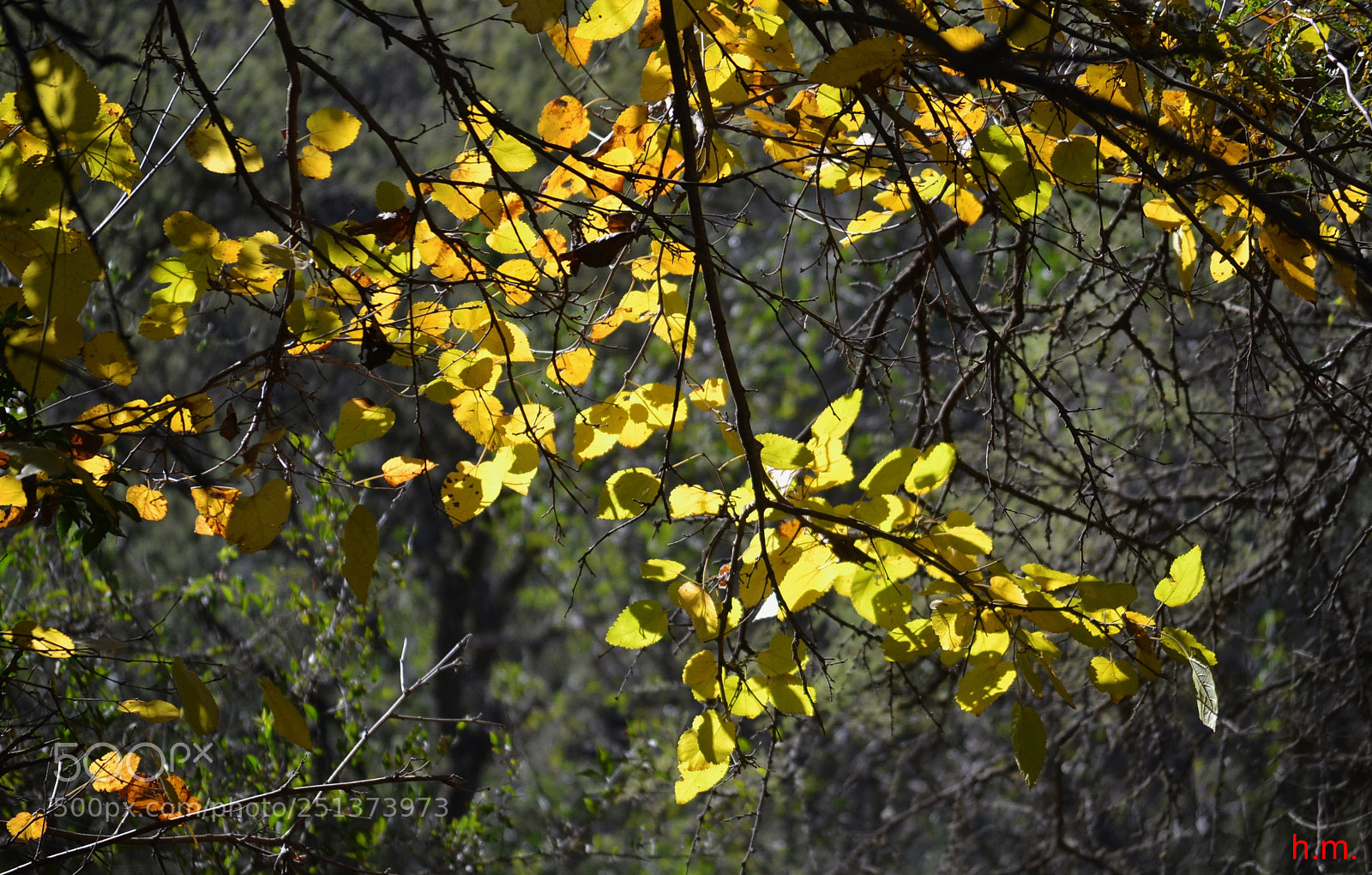 Nikon D3100 sample photo. Aefca o photography