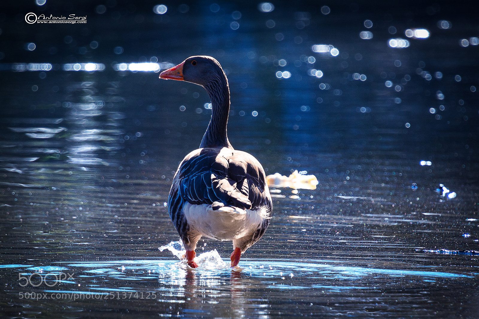 Canon EOS 7D sample photo. Untitled photography