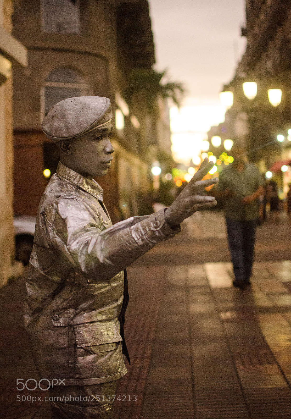 Nikon D7000 sample photo. La estatua de la photography