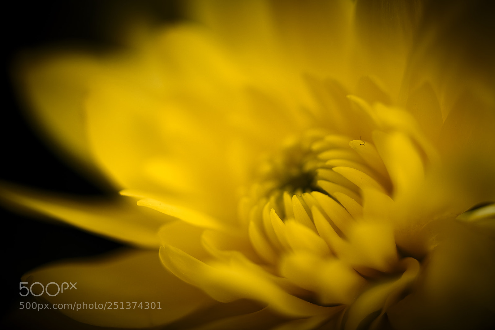 Nikon D850 sample photo. Glow photography