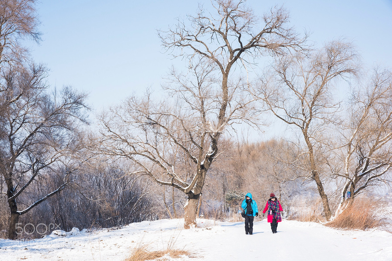 Nikon D810 sample photo. Travel in the winter. photography