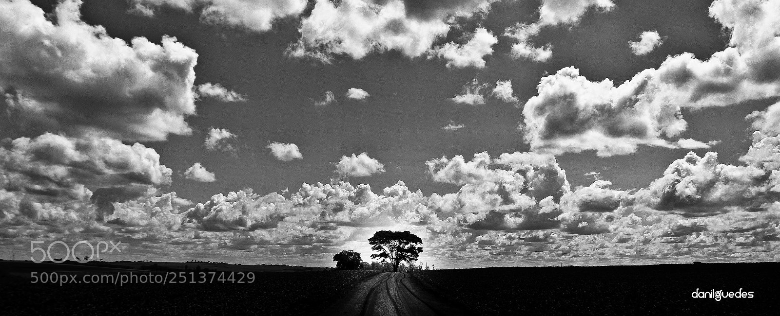 Canon EOS 700D (EOS Rebel T5i / EOS Kiss X7i) sample photo. Danilo guedes de almeida photography