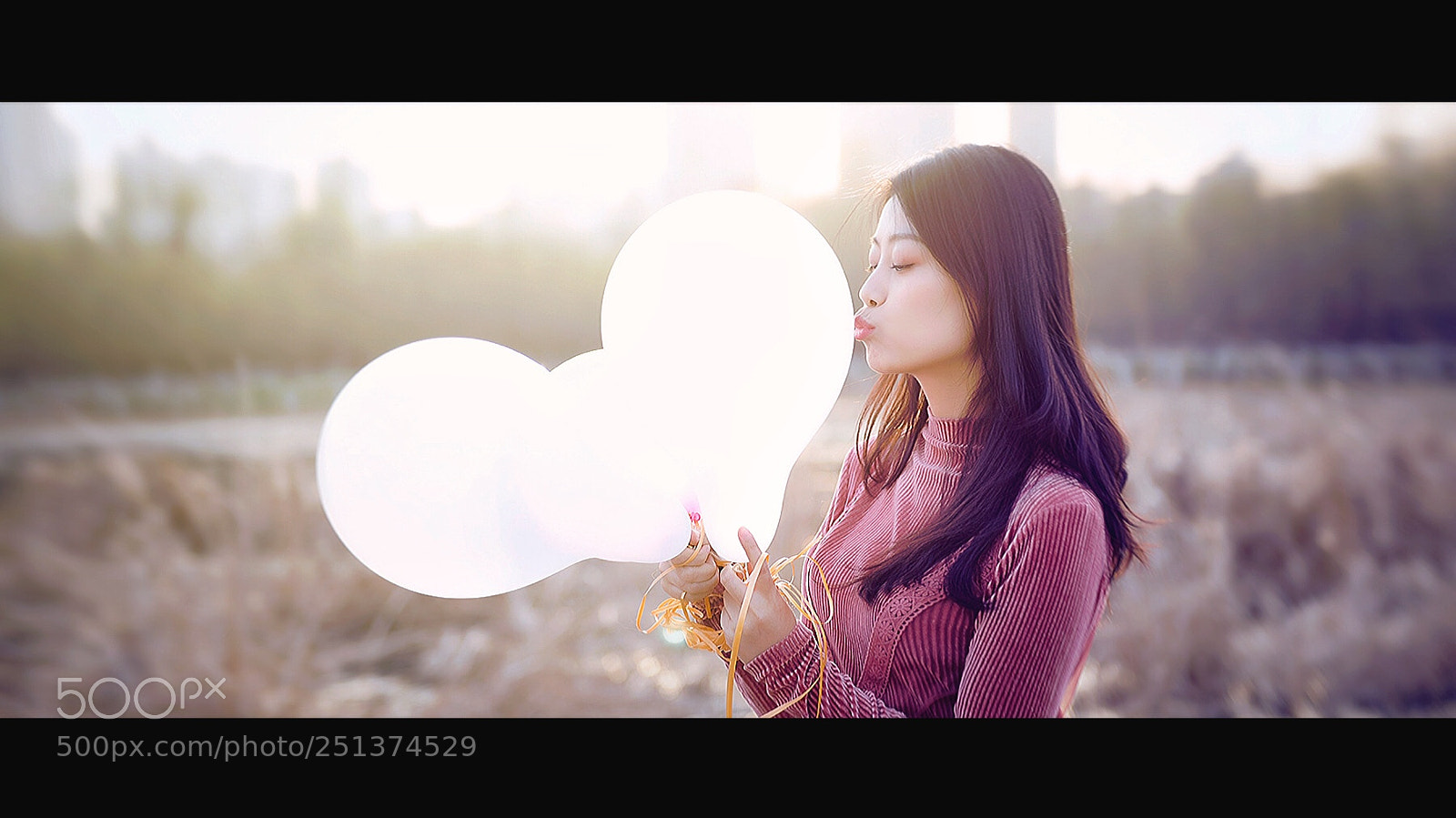 Nikon D810 sample photo. Untitled photography