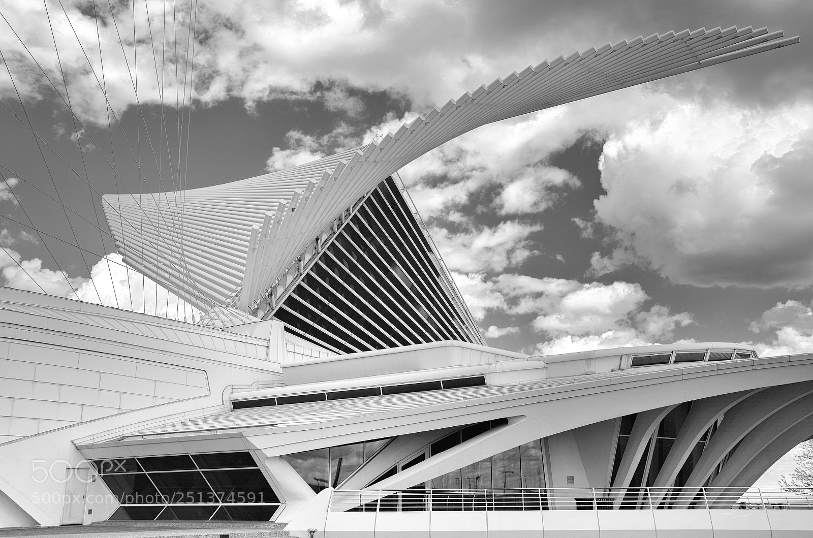 Nikon D7000 sample photo. Beautiful lines photography
