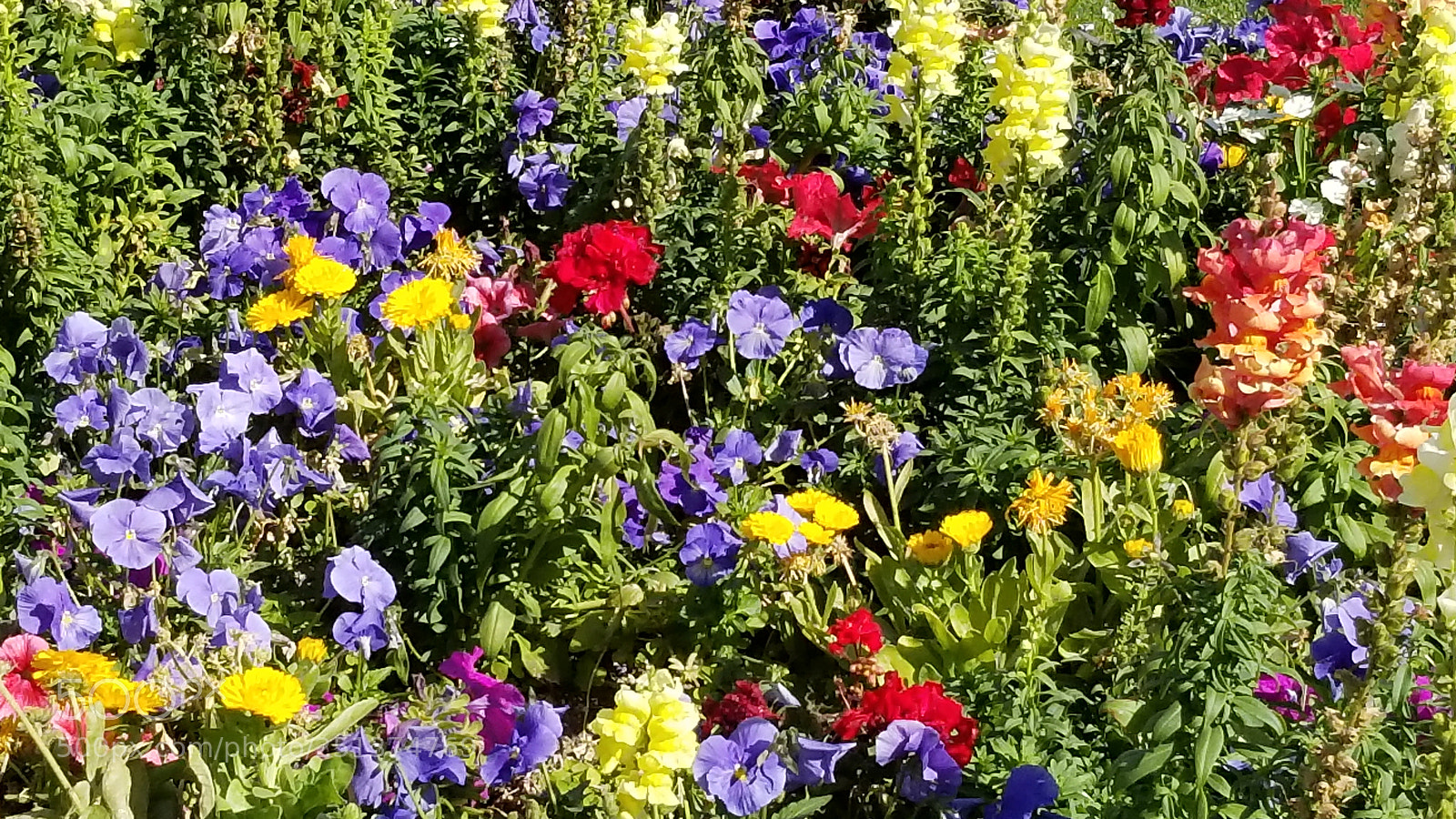 Samsung Galaxy S8+ sample photo. Happy ground photography
