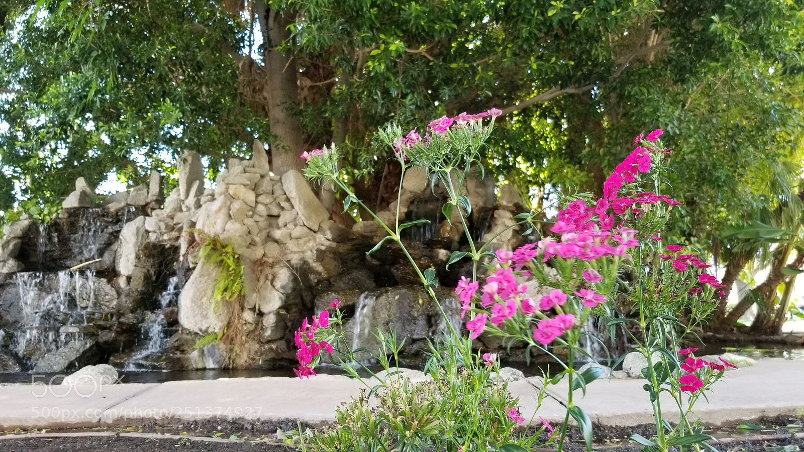 Samsung Galaxy S8+ sample photo. Untitled photography
