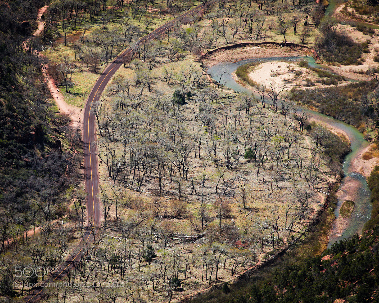 Canon EOS 5D Mark IV sample photo. Trees around the road photography