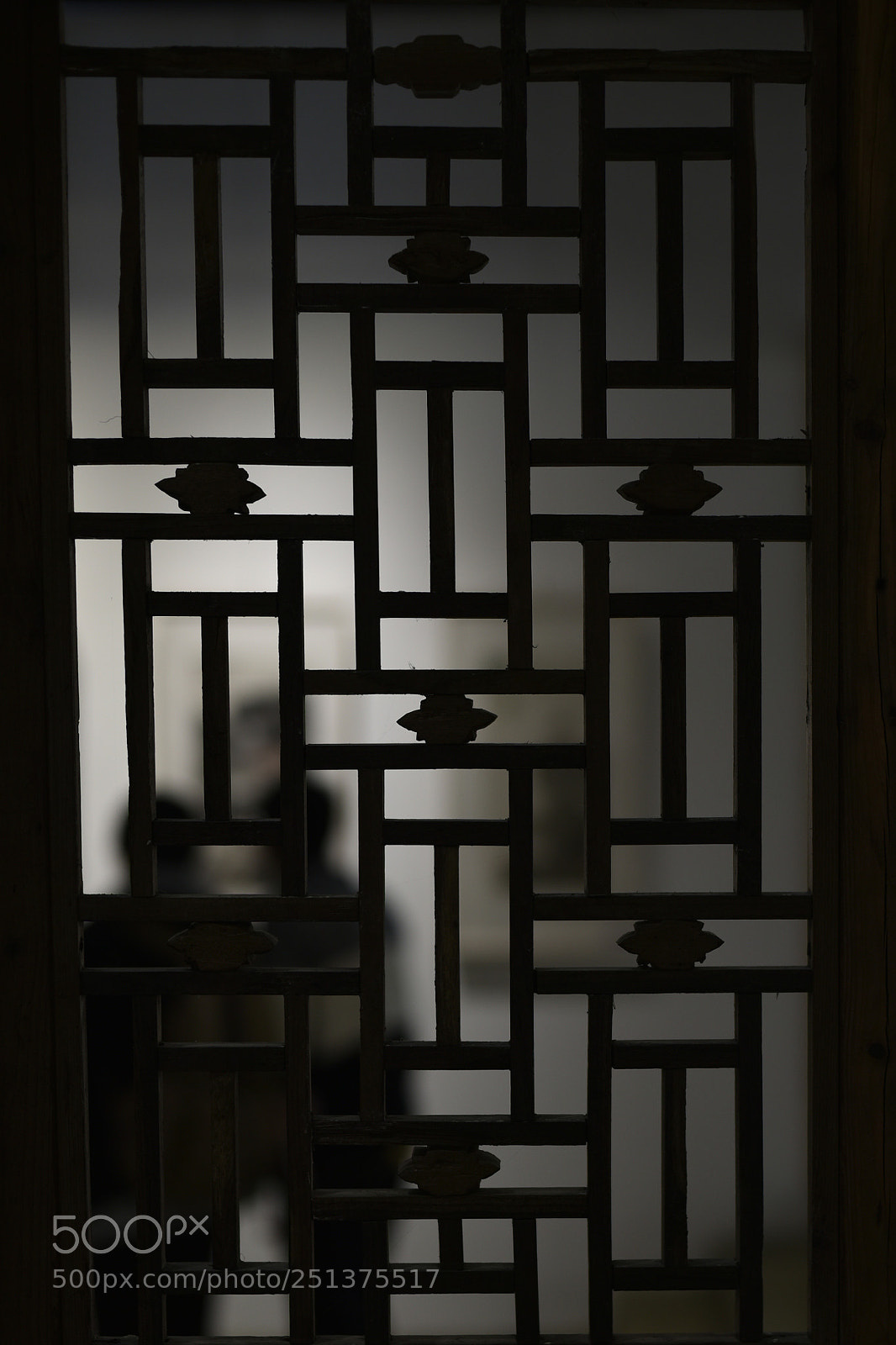 Nikon D810 sample photo. Untitled photography