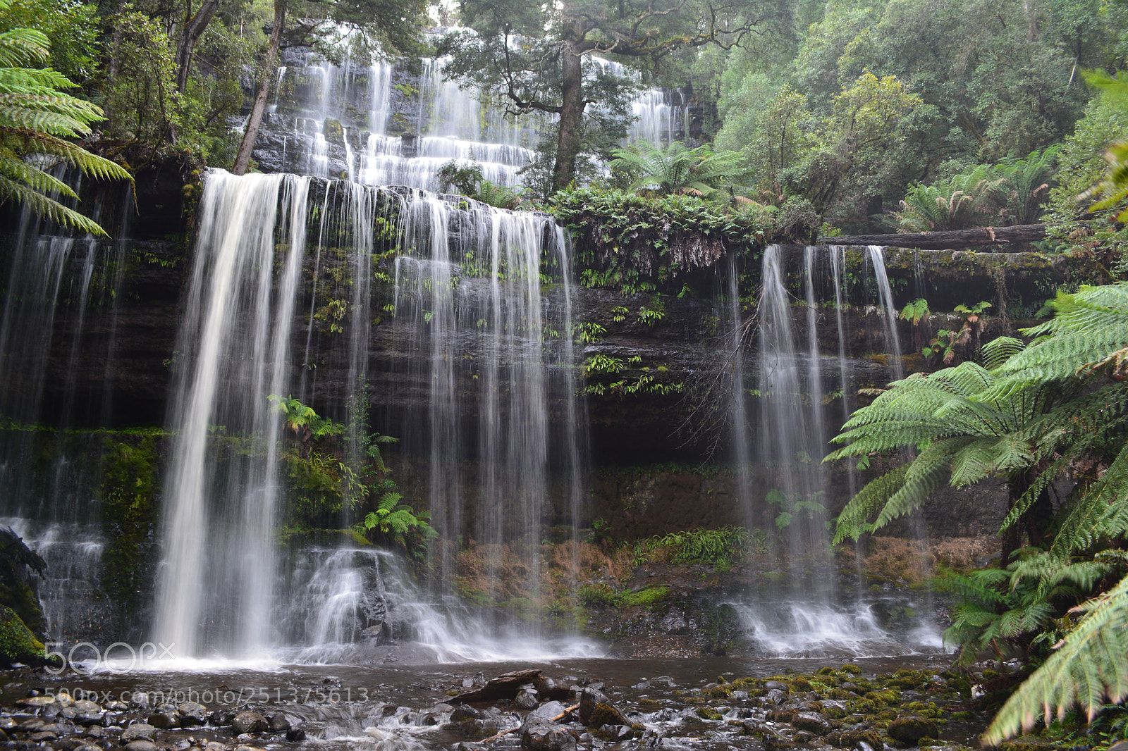 Nikon D5200 sample photo. Russell falls photography
