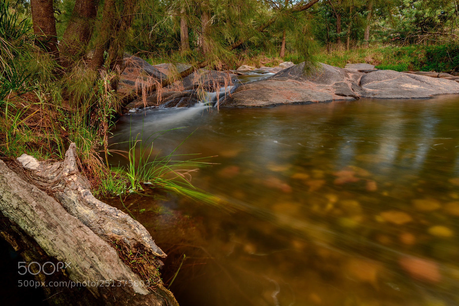 Nikon D7500 sample photo. Down by the river photography