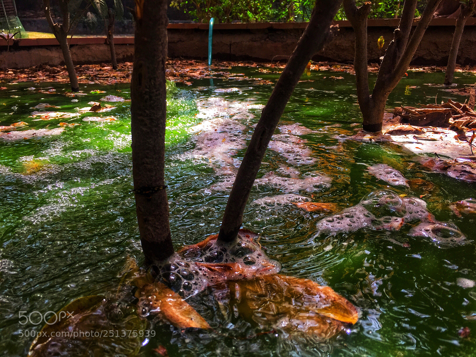 Apple iPhone 6 sample photo. Water flow photography