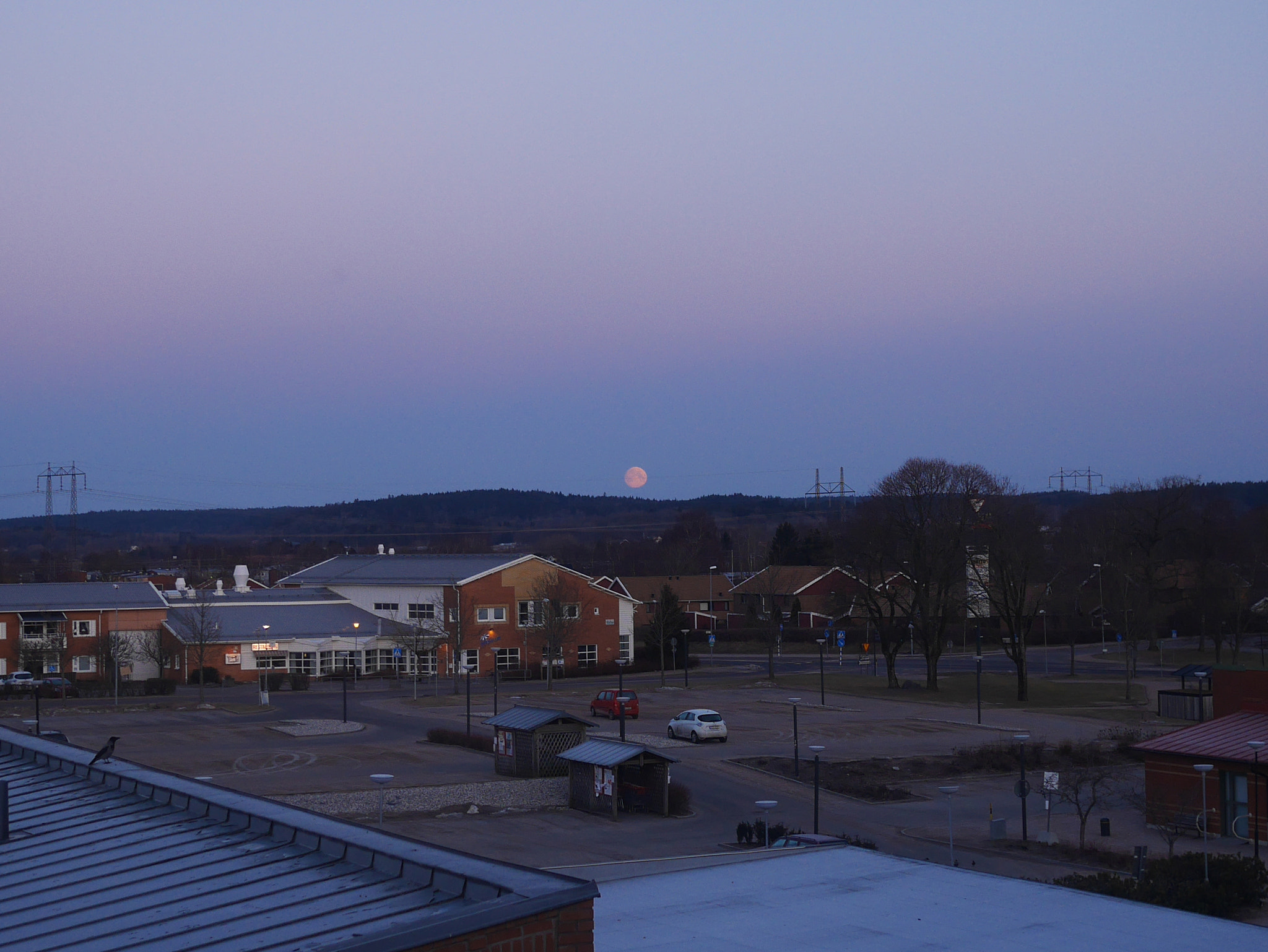 Panasonic Lumix DMC-GM1 sample photo. Pink moon photography
