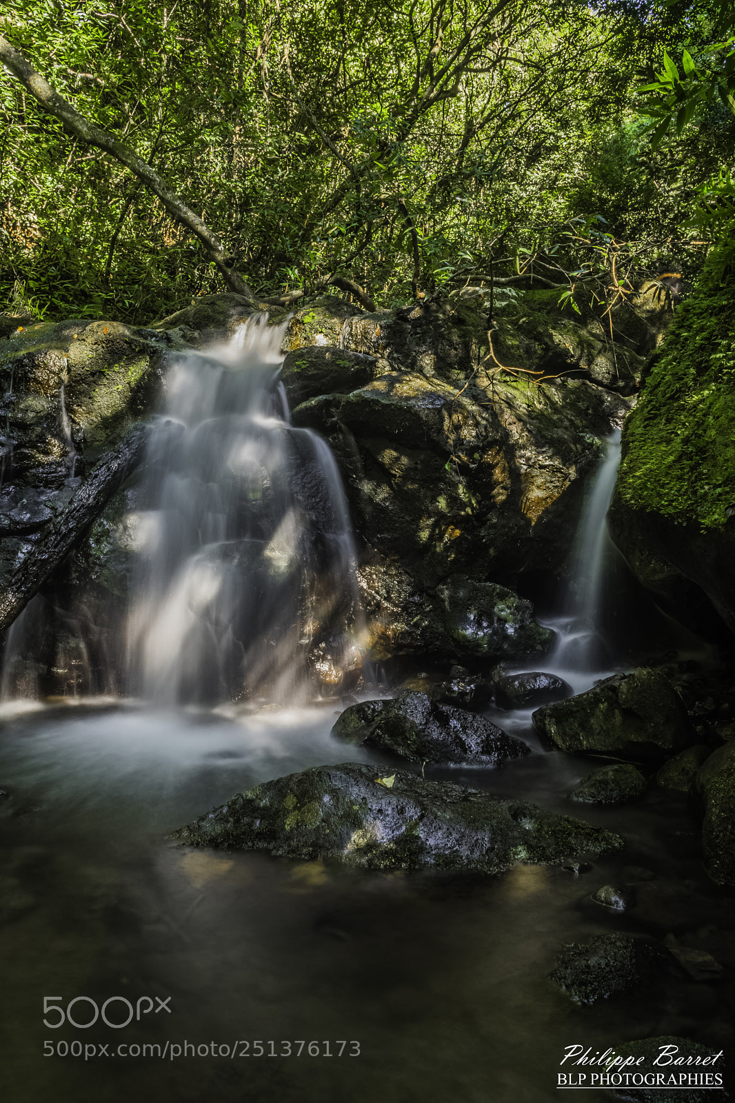 Nikon D7200 sample photo. Cascade photography