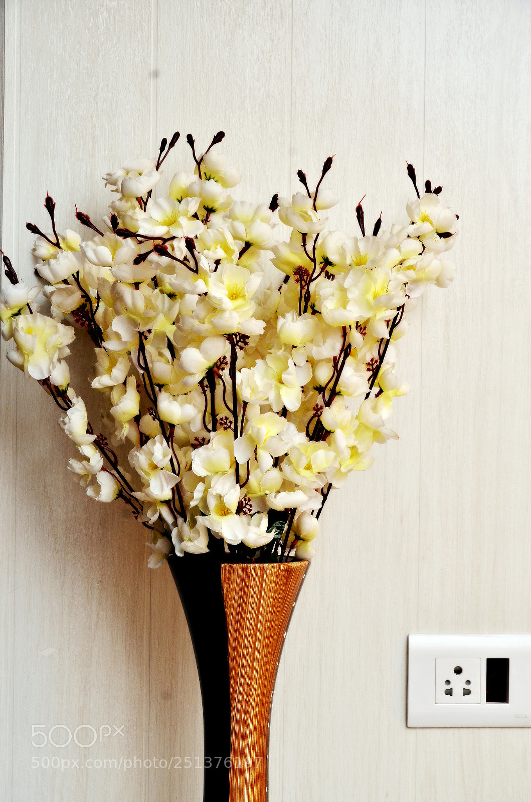 Nikon D7000 sample photo. Clp photography
