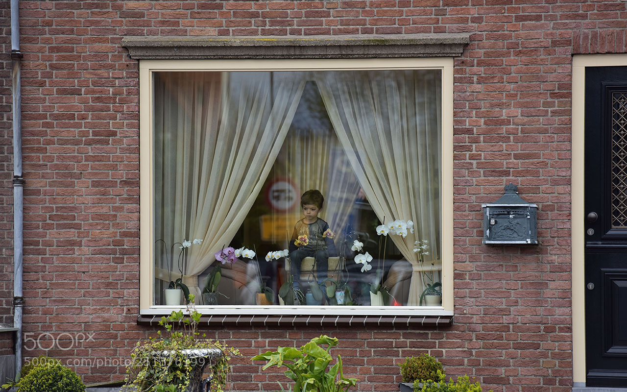 Nikon D810 sample photo. Street photography