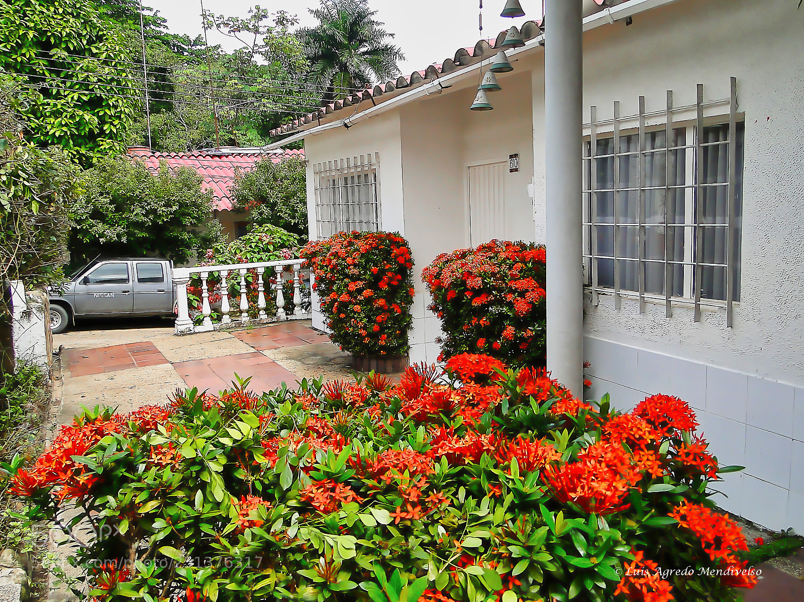 Sony Cyber-shot DSC-HX1 sample photo. Beautiful home patio photography