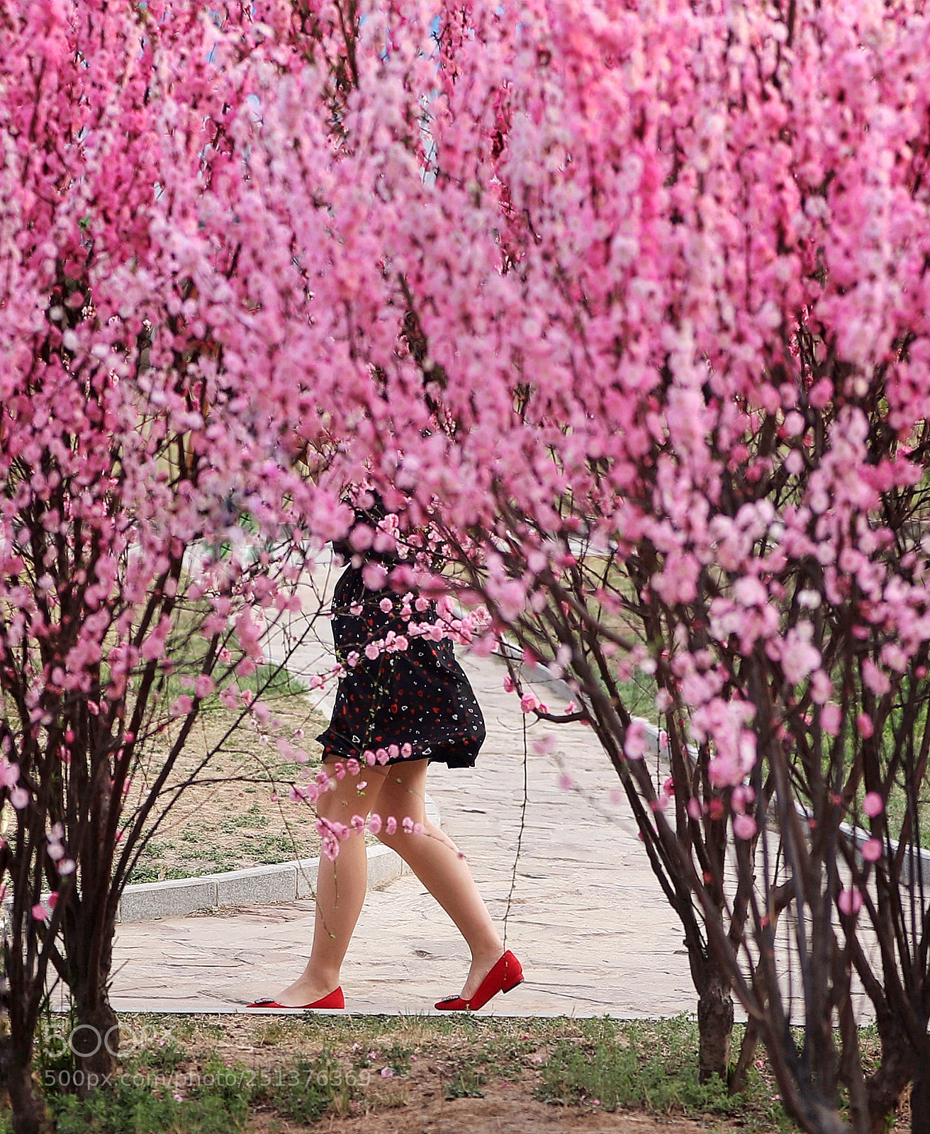 Canon EOS 6D Mark II sample photo. 红鞋子 photography