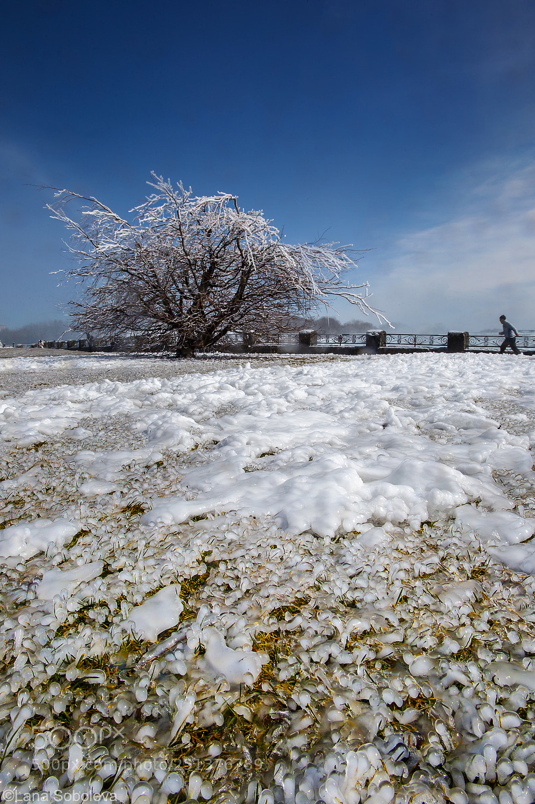 Canon EOS-1D X sample photo. Ice field photography