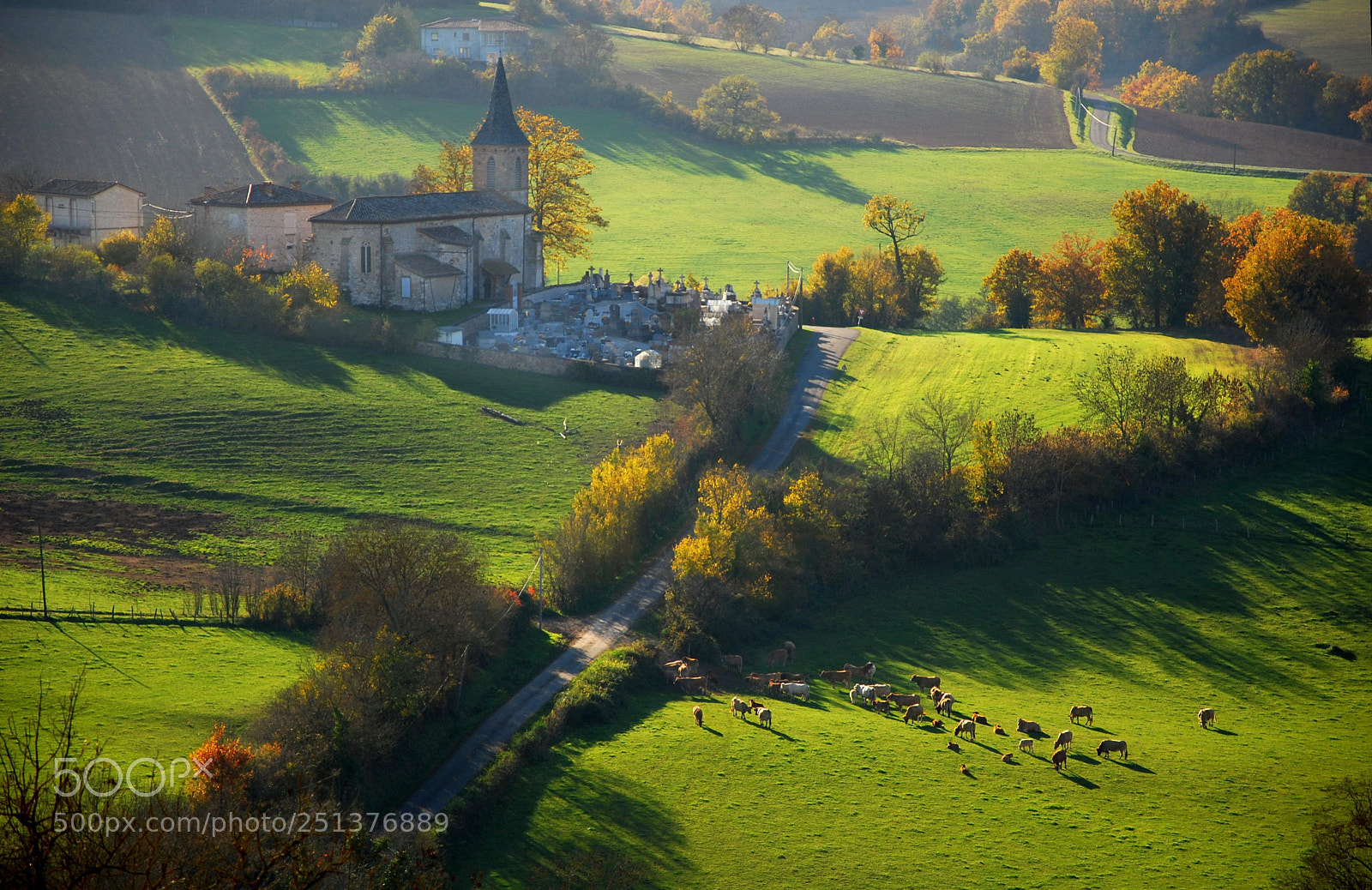 Nikon D80 sample photo. Labastide-gabausse photography