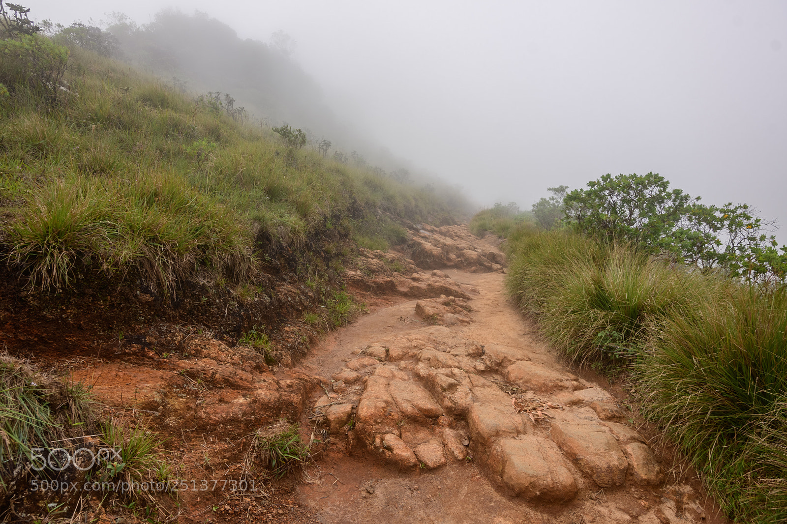 Nikon D7500 sample photo. World's end photography