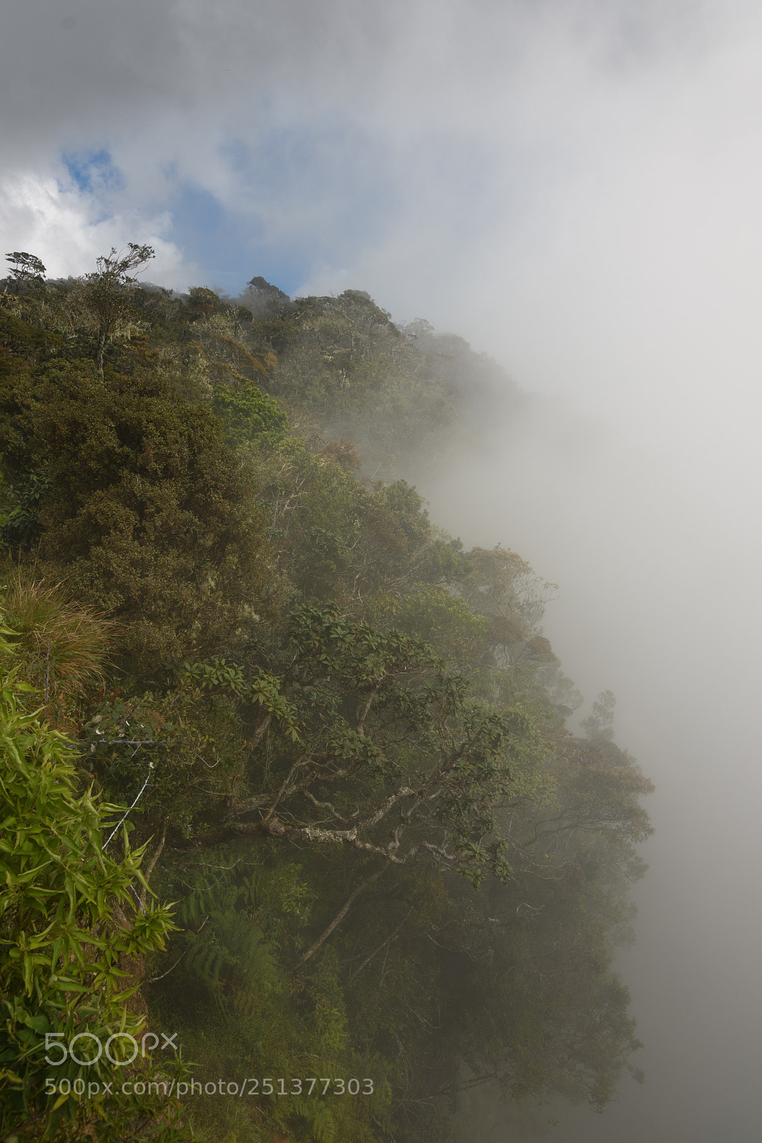 Nikon D7500 sample photo. World's end photography