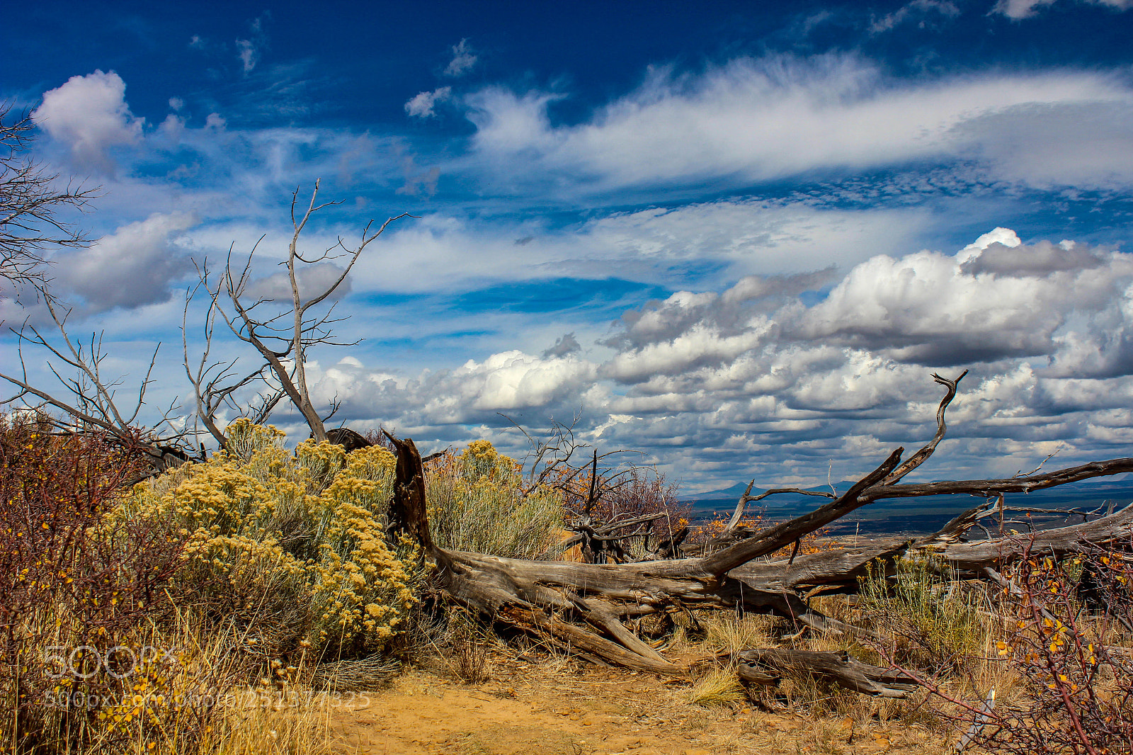 Canon EOS 600D (Rebel EOS T3i / EOS Kiss X5) sample photo. Amazing american desert photography