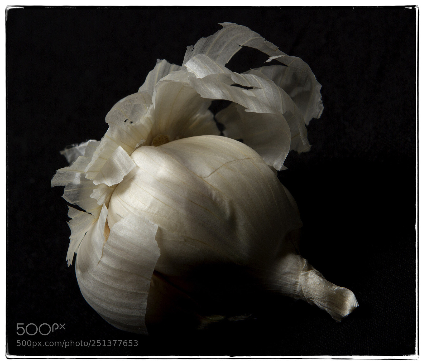 Canon EOS 7D sample photo. Garlic clove. photography