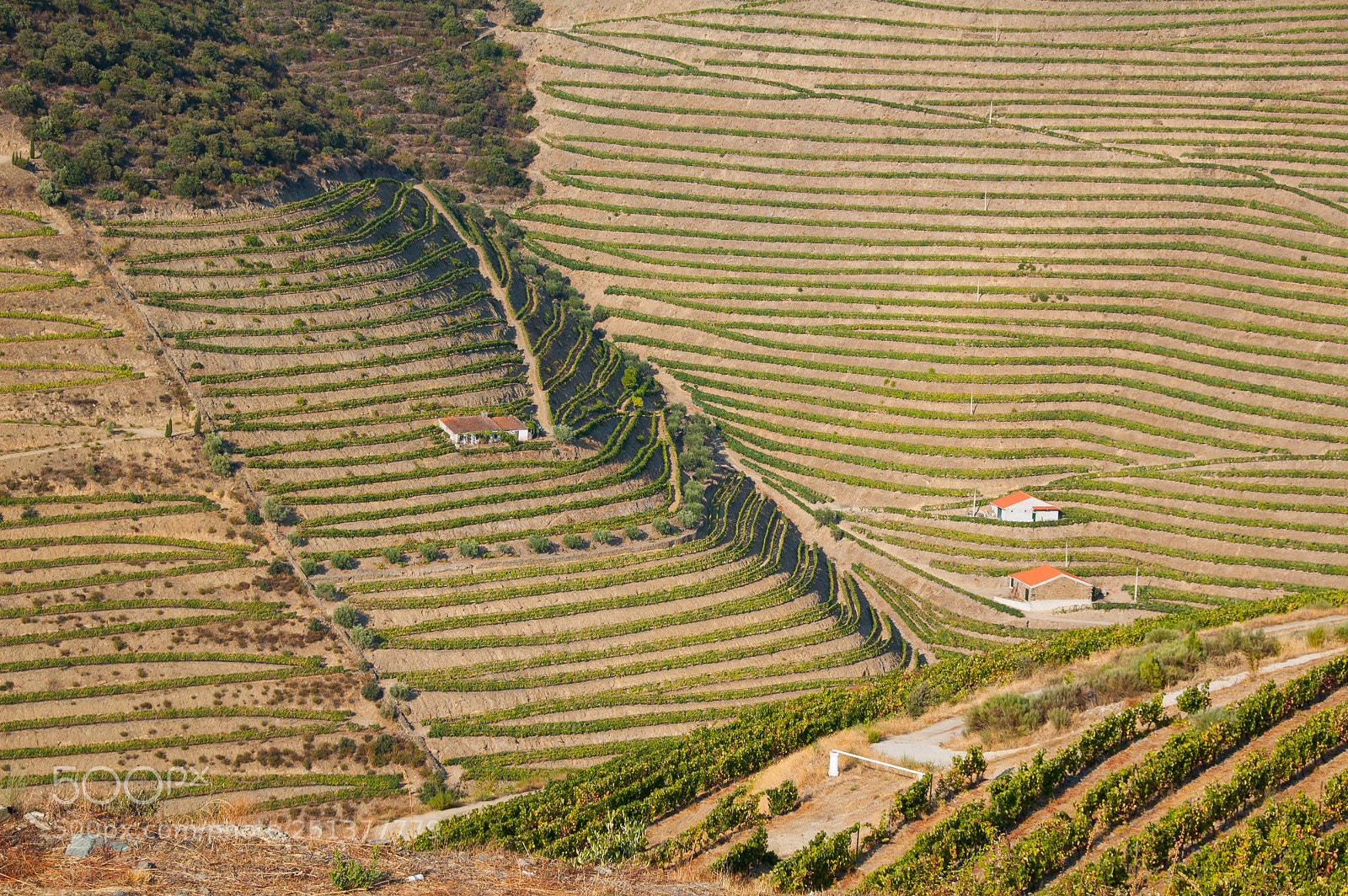 Nikon D40 sample photo. Living of the slope photography