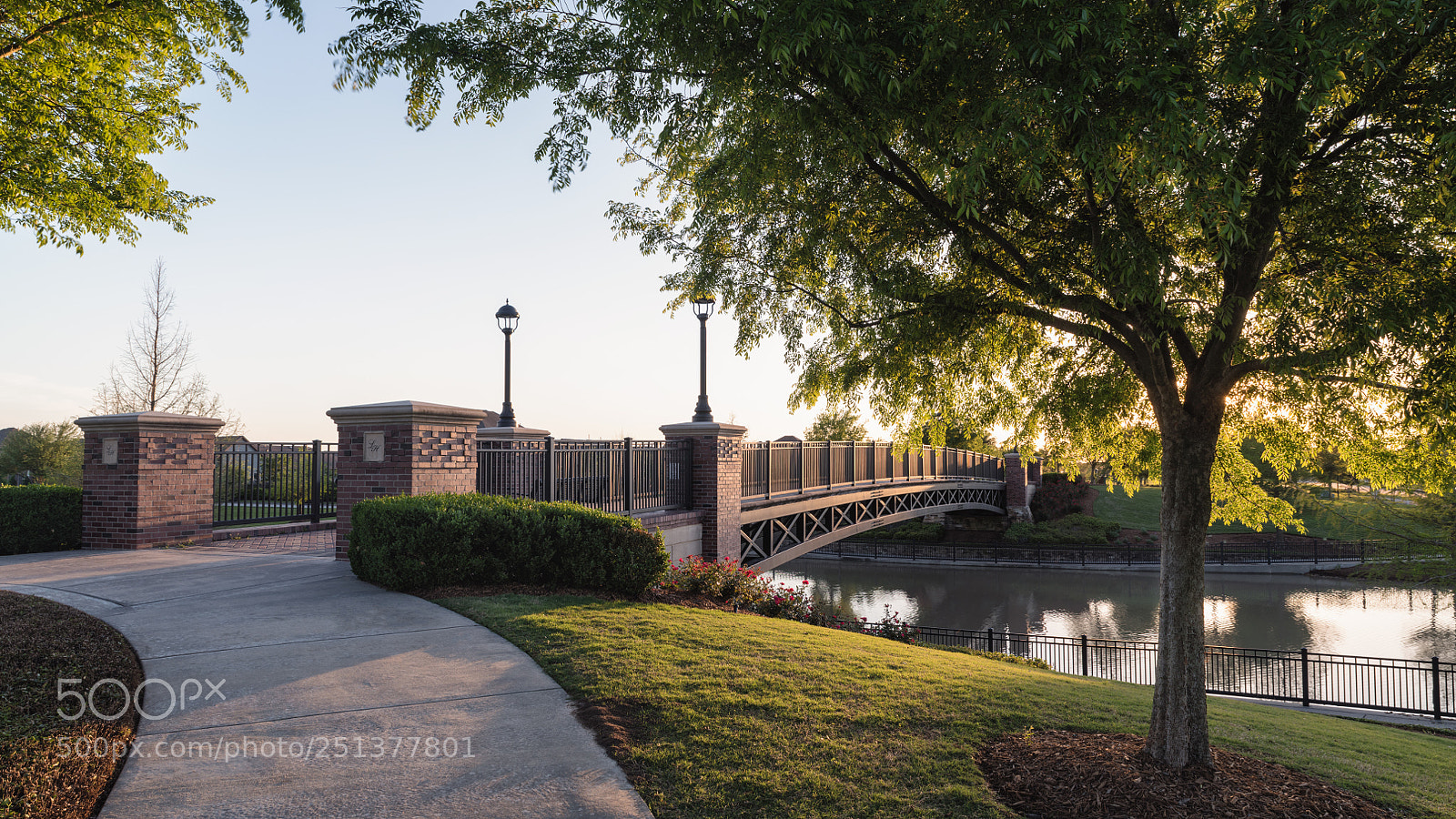 Nikon D850 sample photo. Bridgeland mar 2018 photography
