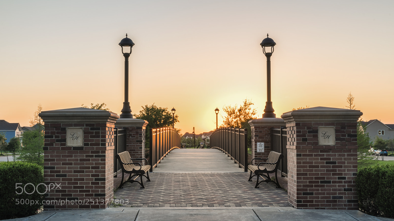 Nikon D850 sample photo. Bridgeland mar 2018 photography